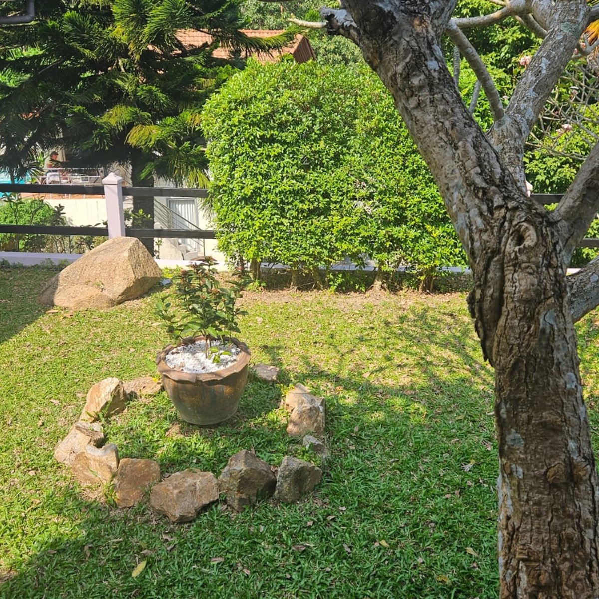 Villa Amaya — photo 13